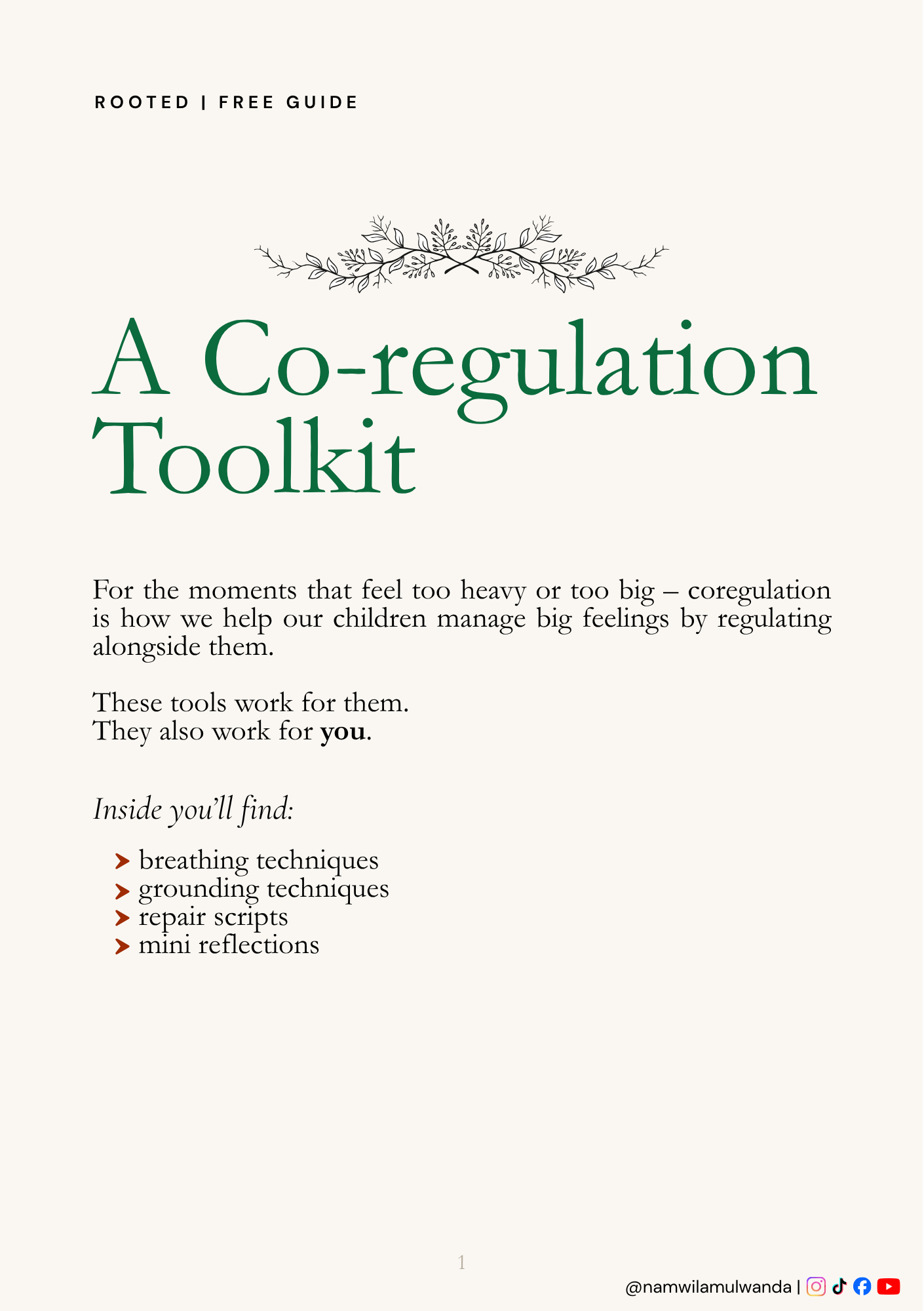 Co-regulation Toolkit Free Guide